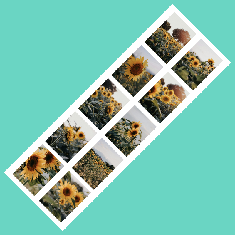 Photo Strip 17