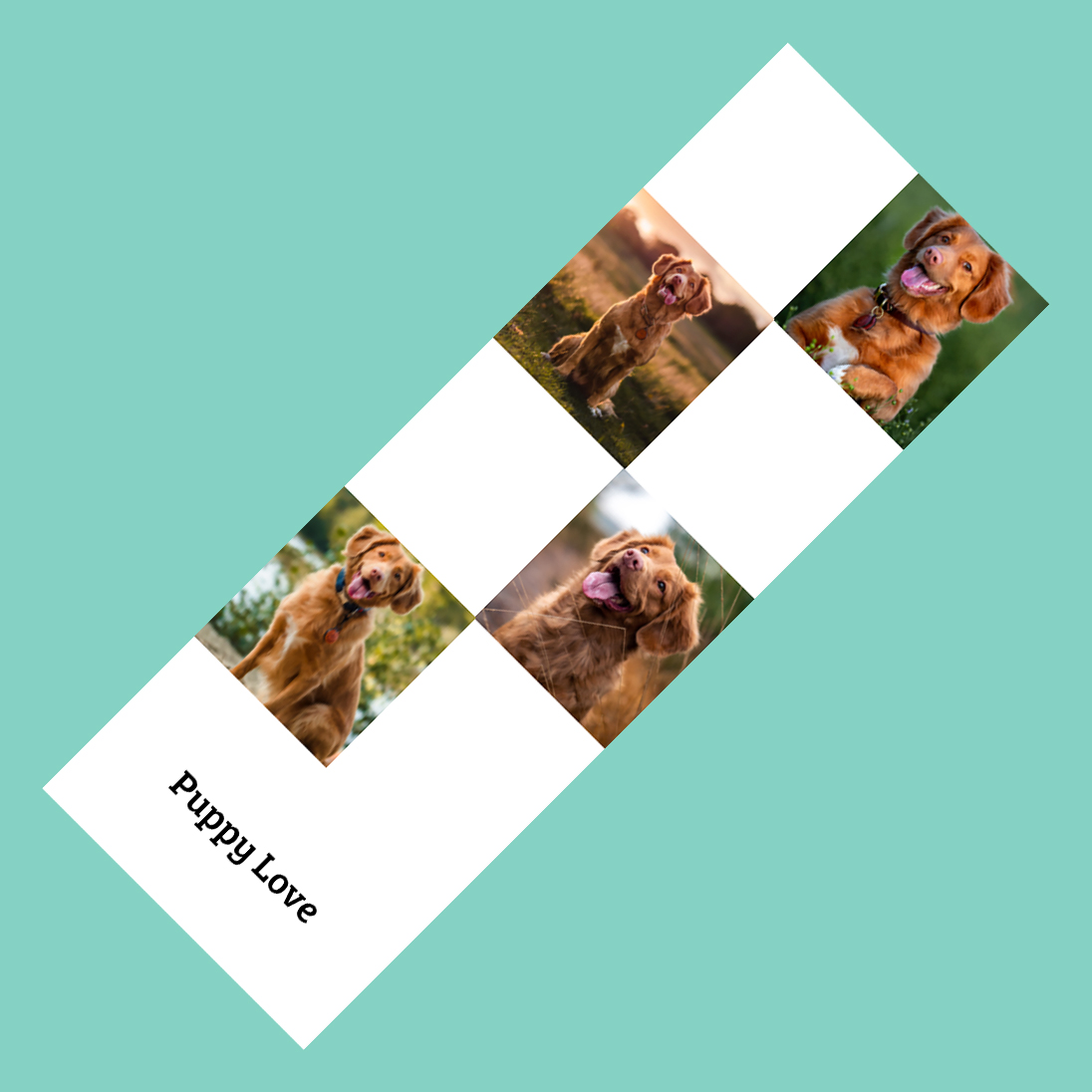 Photo Strip 2