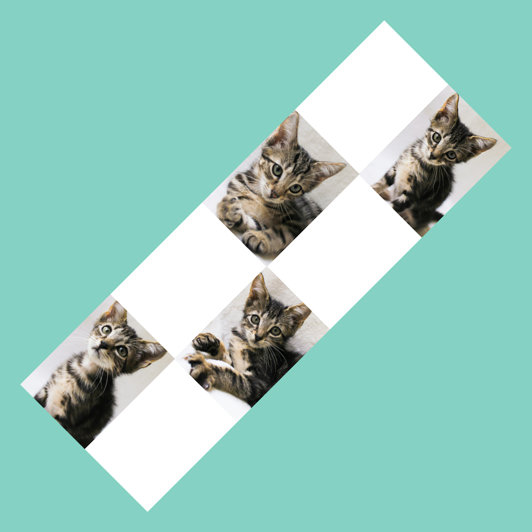 Photo Strip 1