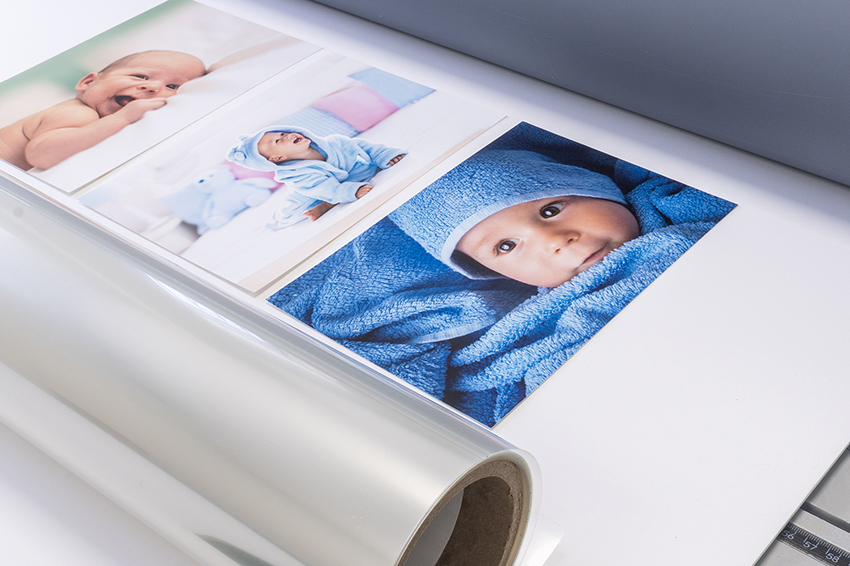 Large Photo Prints