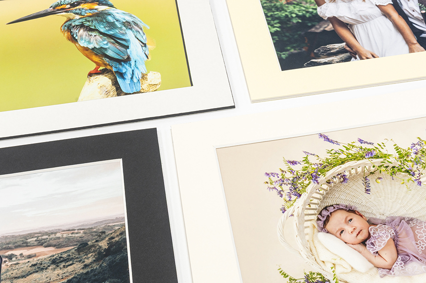 Large Photo Prints
