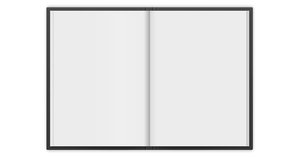 Blank