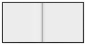 Blank