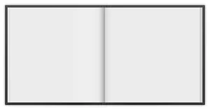 Blank