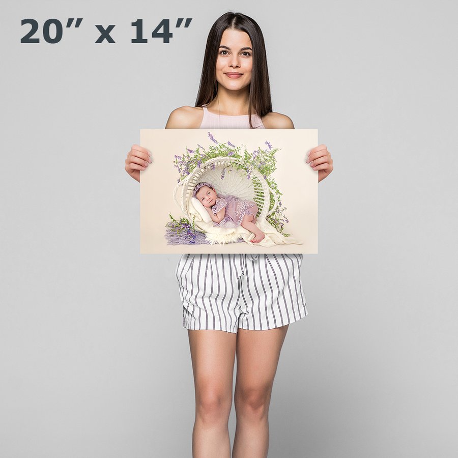 19x19 Photo Print
