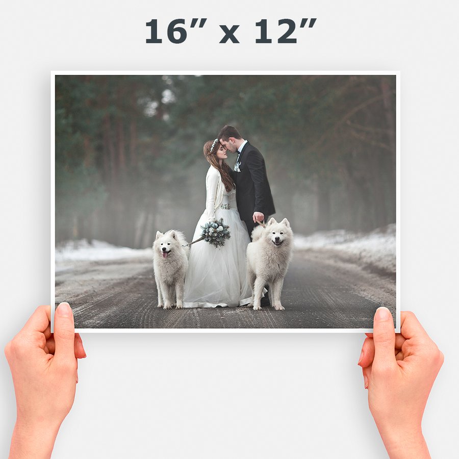 A3 Photo Prints