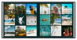 Tropical Escape