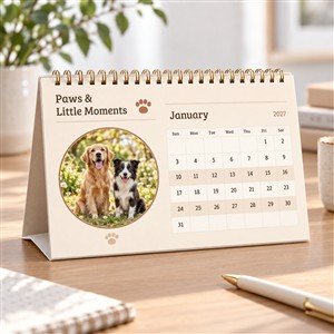 Paws & Little Moments