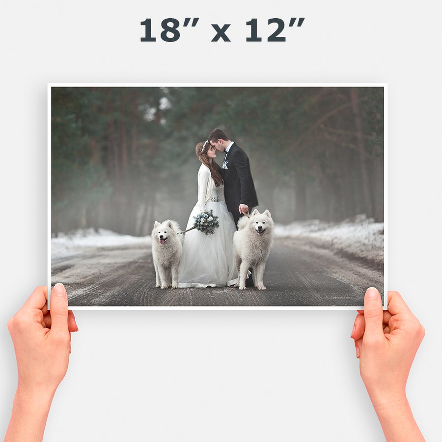 16x12 Photo Prints