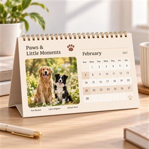Paws & Little Moments