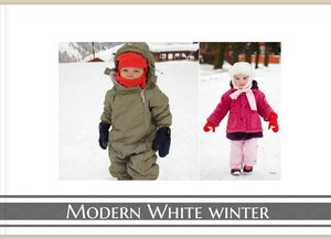 Modern White Winter