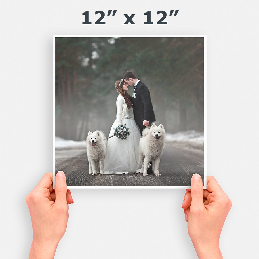 12x10 Photo Prints