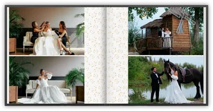 Watercolor Wishes