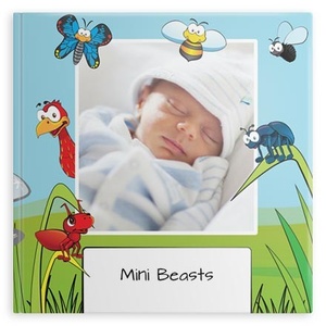 Minibeasts