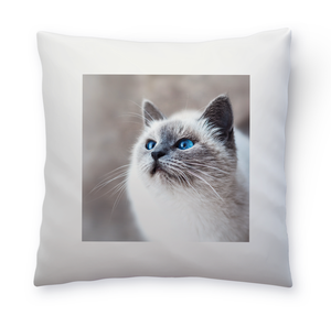 Pillow