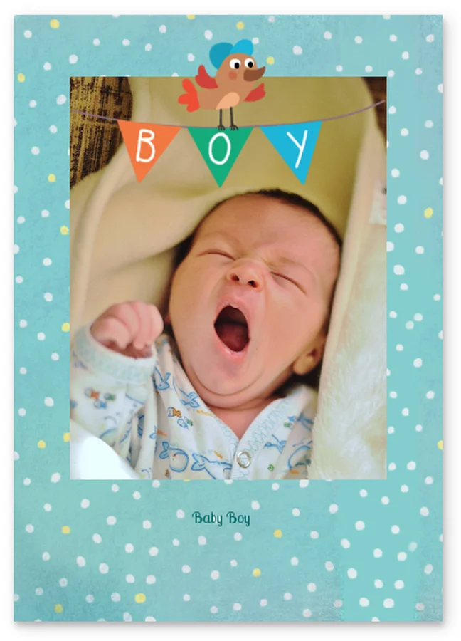 Baby Boy