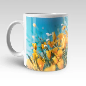Custom photo mugs