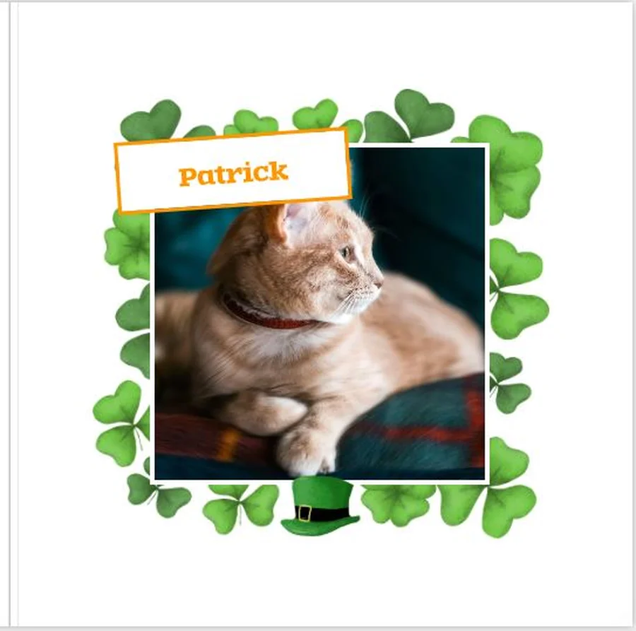 St. Patrick's Day