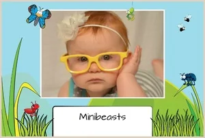 Minibeasts