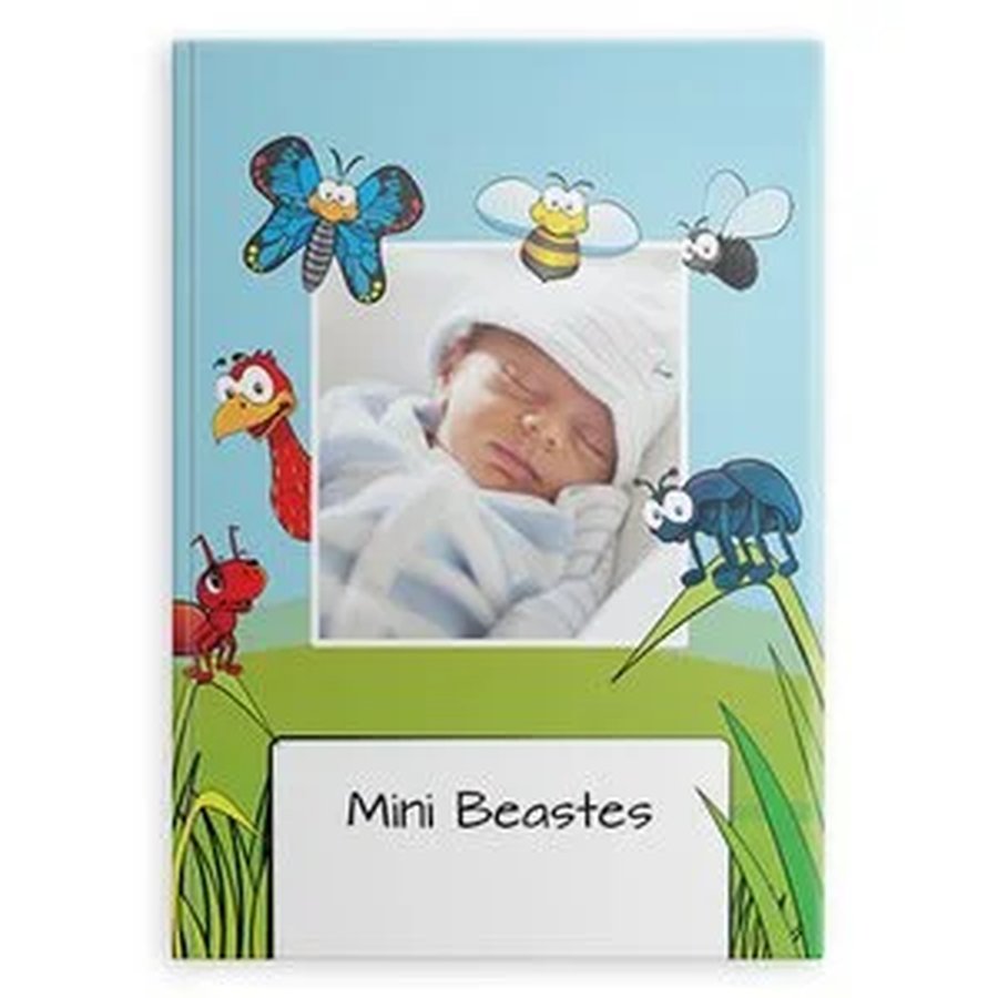 Minibeasts