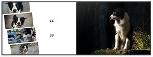 Memorable Quotes