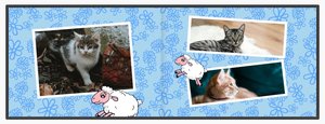 Animal World