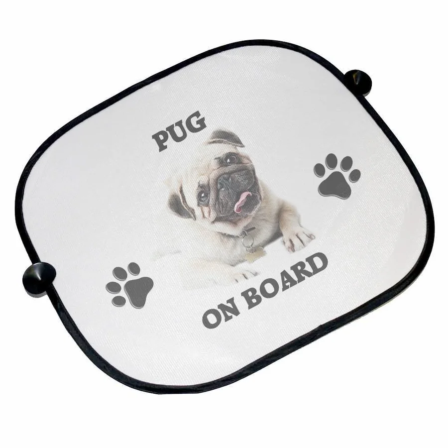 Windshield protector