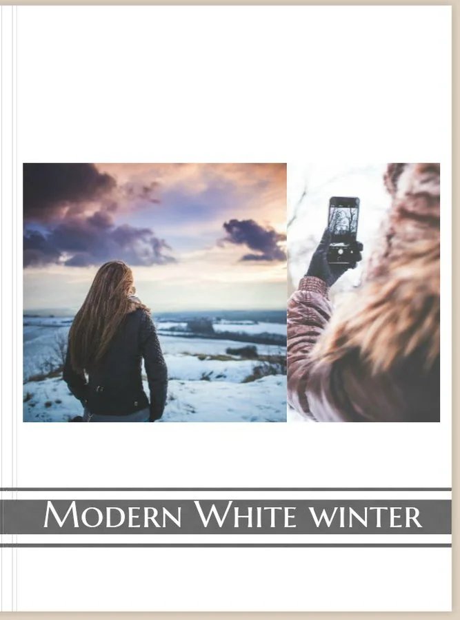 Modern White Winter
