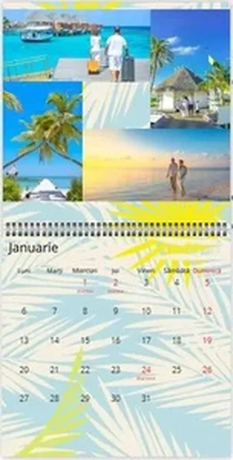 Holiday