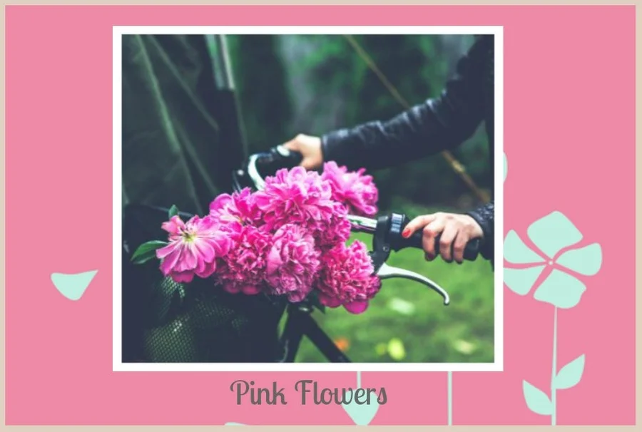 Pink flowers