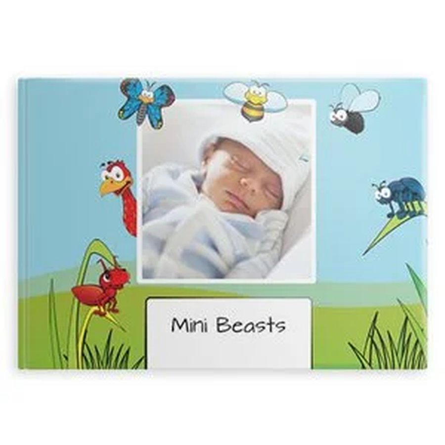 Minibeasts