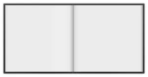 Blank